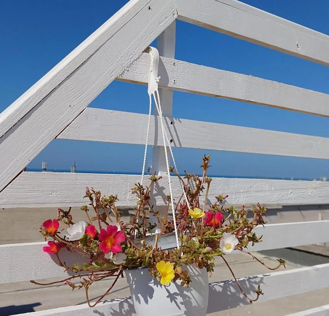 Giardino Alto Apartment Durres Albania